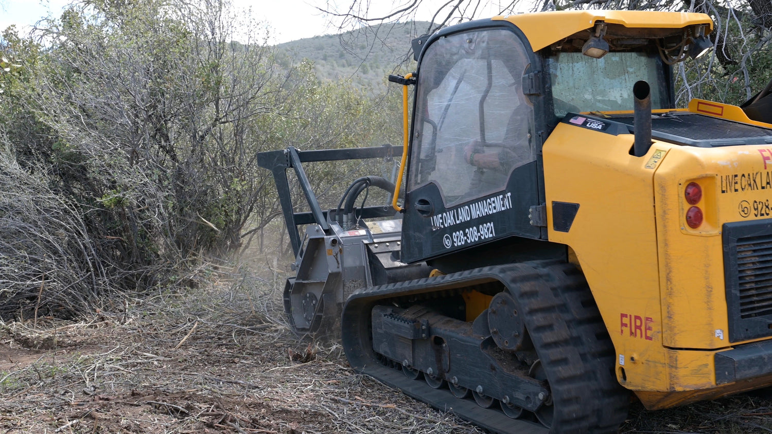 Mastication and Brush Removal